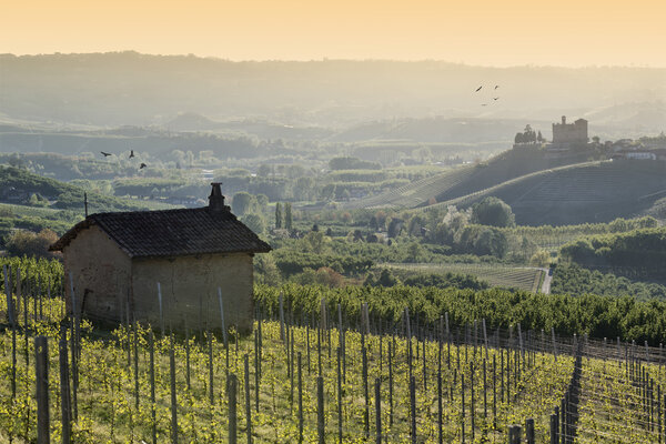 Spring View the Langhe Unesco heritage