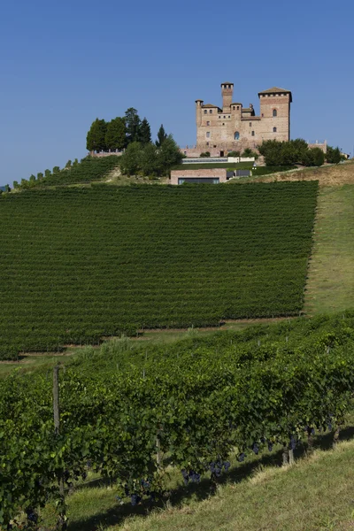 Vista de verão na herança Langhe Unesco — Fotografia de Stock