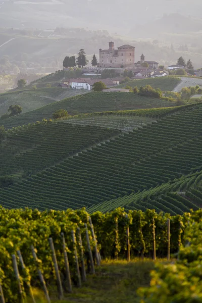 Літній подання в регіоні Langhe об'єктів спадщини — стокове фото