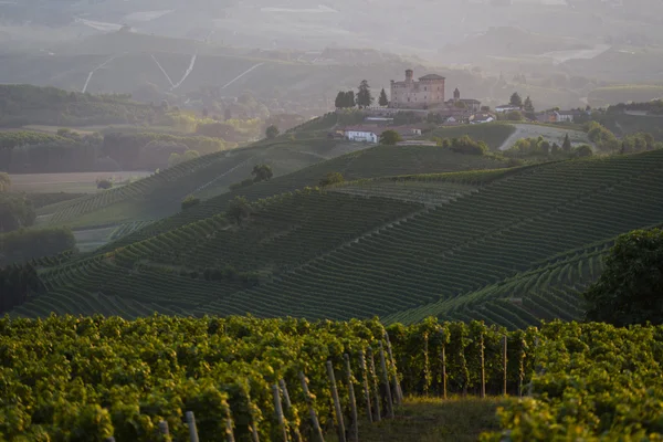 Langhe Unesco miras görünümünde yaz — Stok fotoğraf