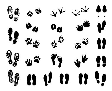 Footprint set vector clipart