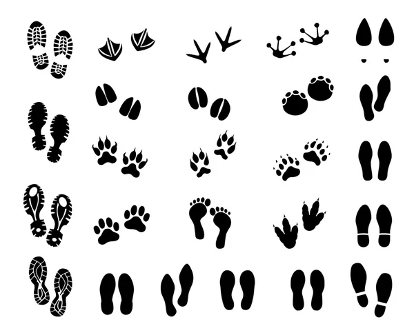 Footprint set vector — Stock Vector