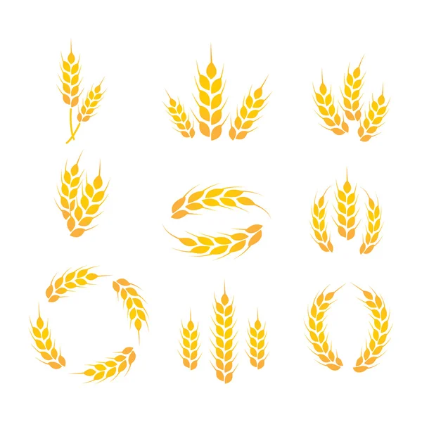 Wheat icon set vector — Stock Vector