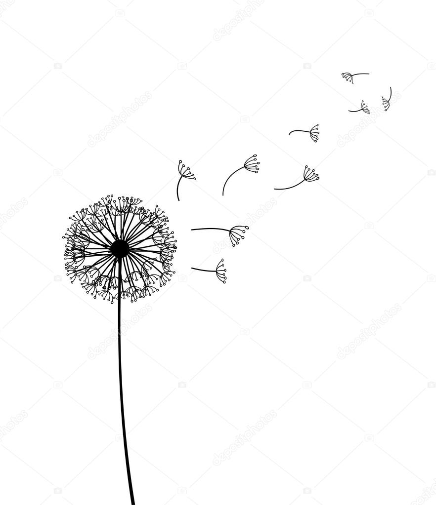 Dandelion vector illustration