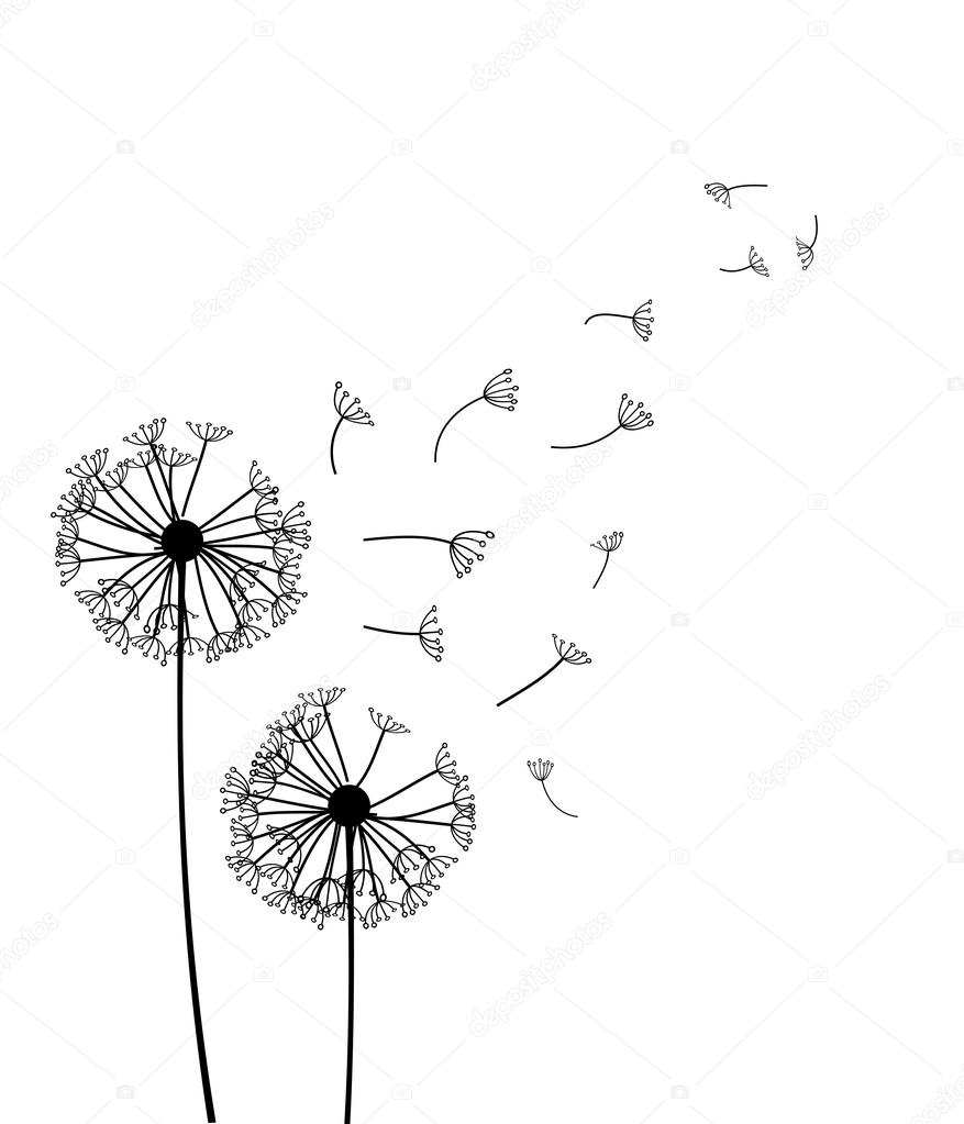 Dandelion vector illustration