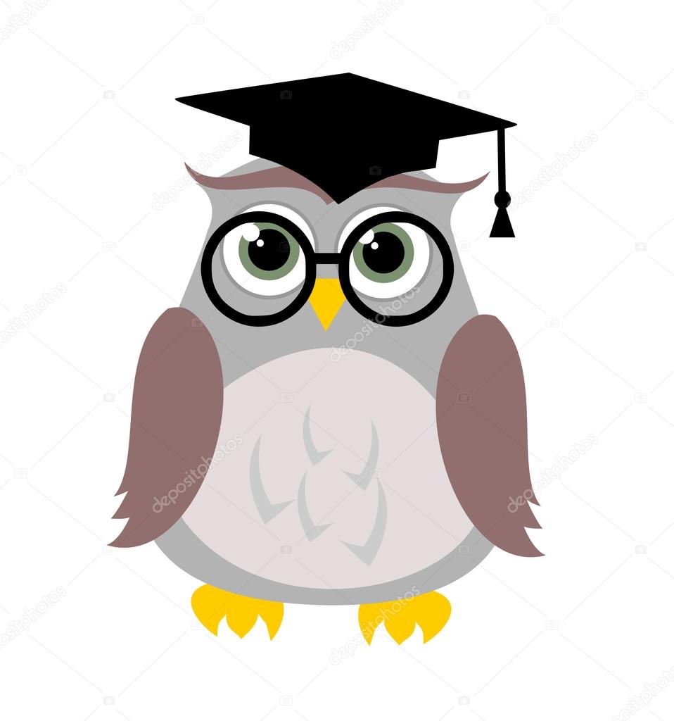 Cute education owl vector 