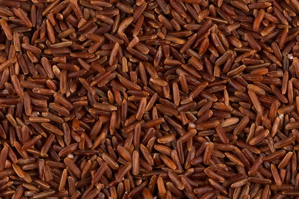 Raw red rice — Stock Photo, Image