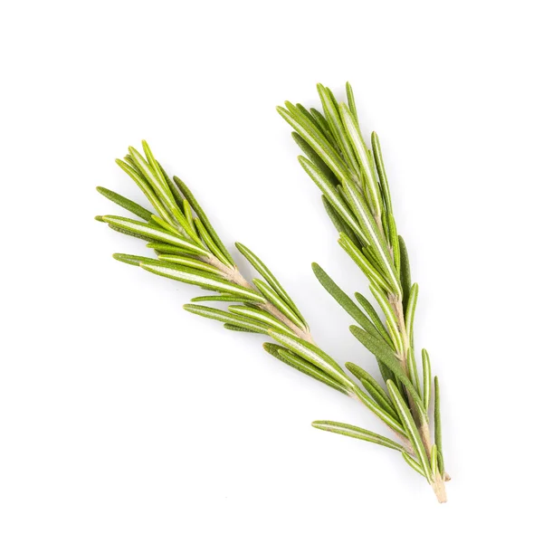 Rosemary isolated on white background — Stock Photo, Image