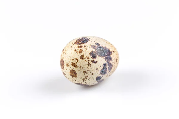 Un œuf de caille — Photo