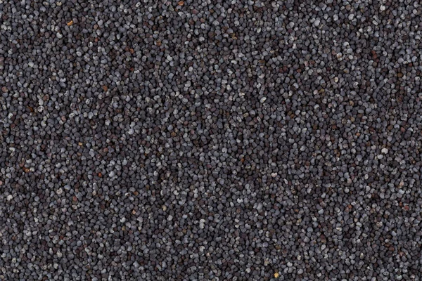 Poppy seeds background — Stock Photo, Image