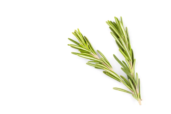 Rosemary isolated on white background — Stock Photo, Image