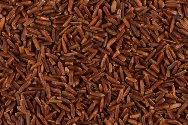 Raw red rice — Stock Photo, Image