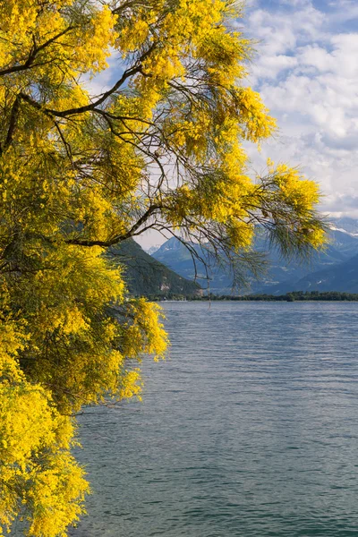 山と湖ジュネーブ — ストック写真