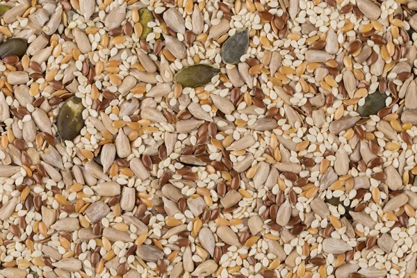 Healthy seeds mix — Stock Photo, Image