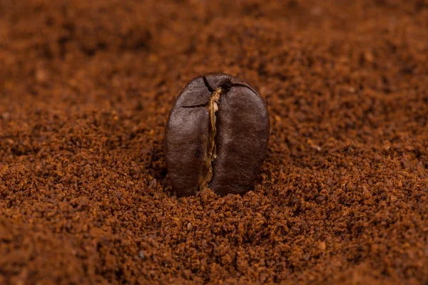 Grano de café en primer plano en polvo — Foto de Stock