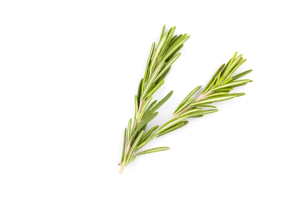 Rosemary isolated on white background — Stock Photo, Image