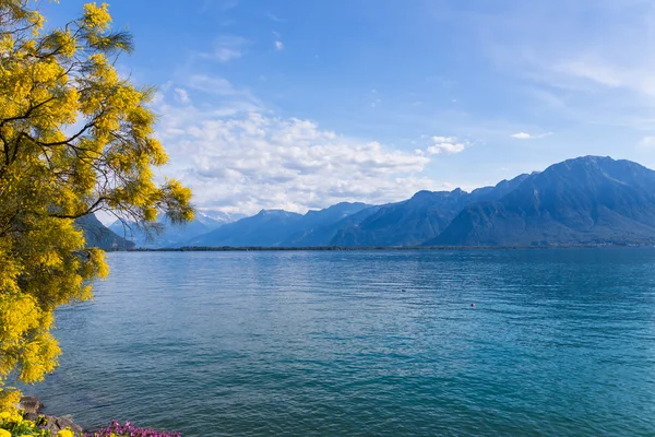 Berge und Genfersee — Stockfoto