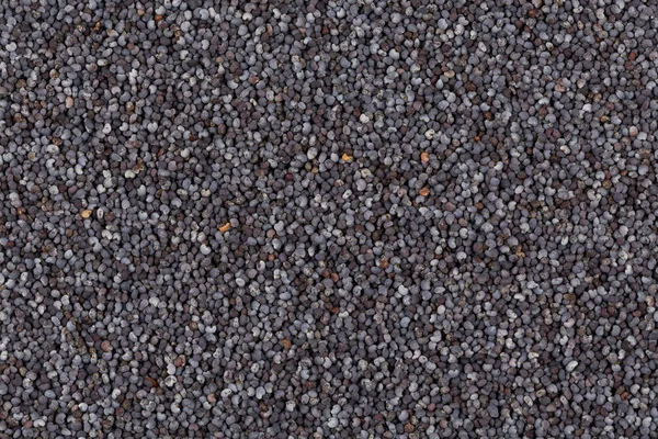 Poppy seeds background — Stock Photo, Image