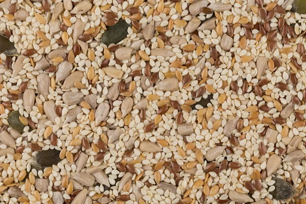 Zdrowe nasiona mix — Zdjęcie stockowe