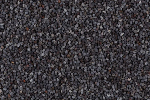 Nasiona maku tło — Zdjęcie stockowe