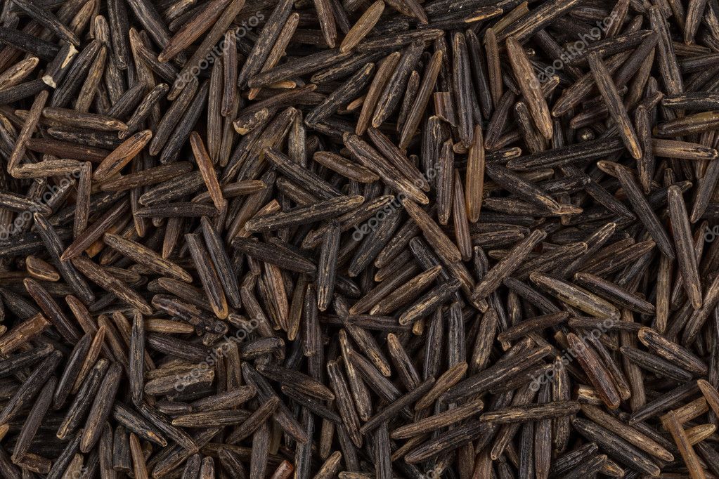 achtergrond van zwarte wilde rijst — stockfoto © romantsubin #104337550