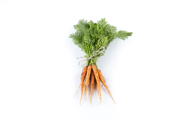 Freshly picked carrots — Stock Photo, Image