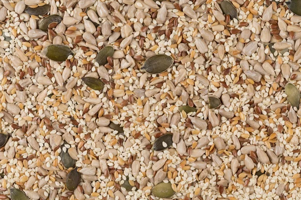 Mistura de sementes saudáveis — Fotografia de Stock
