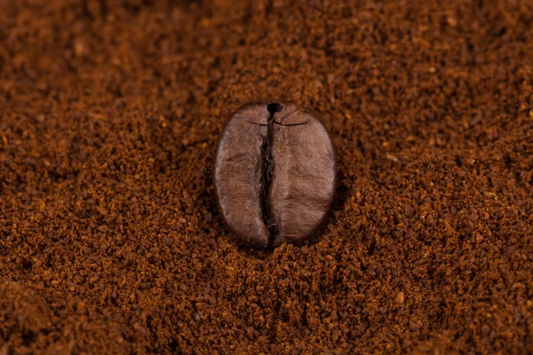 Grano de café en primer plano en polvo — Foto de Stock