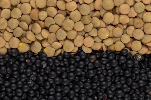 Mistura de lentilhas — Fotografia de Stock