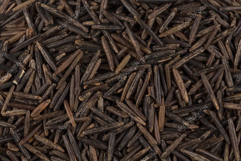 achtergrond van zwarte wilde rijst — stockfoto © romantsubin #105058108