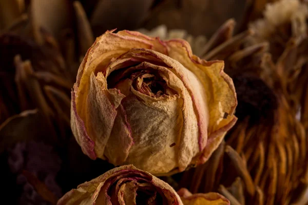 Decoratie van gedroogde bloemen. Rozen — Stockfoto
