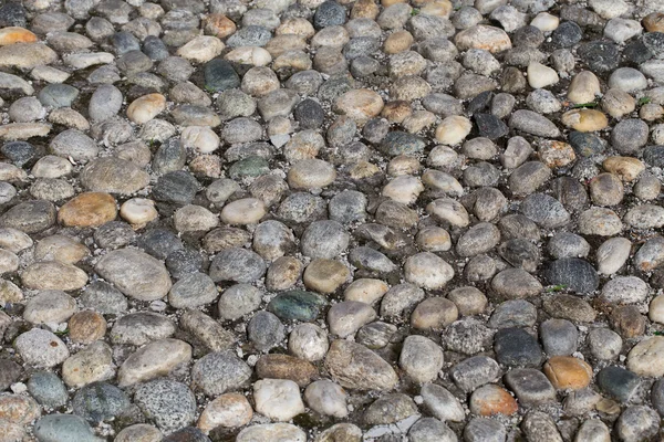 Runda stenar i marken — Stockfoto
