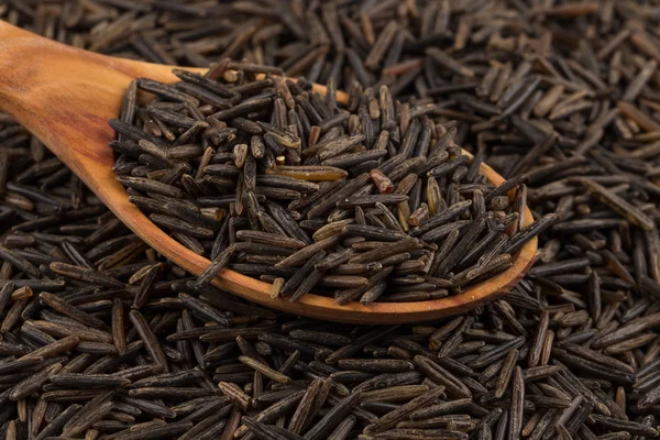 Wild brown rice in spoon — Stock Photo, Image