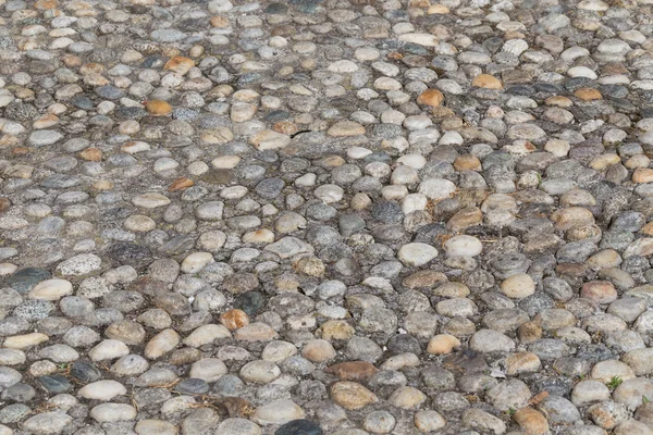 Круглые камни в земле — стоковое фото