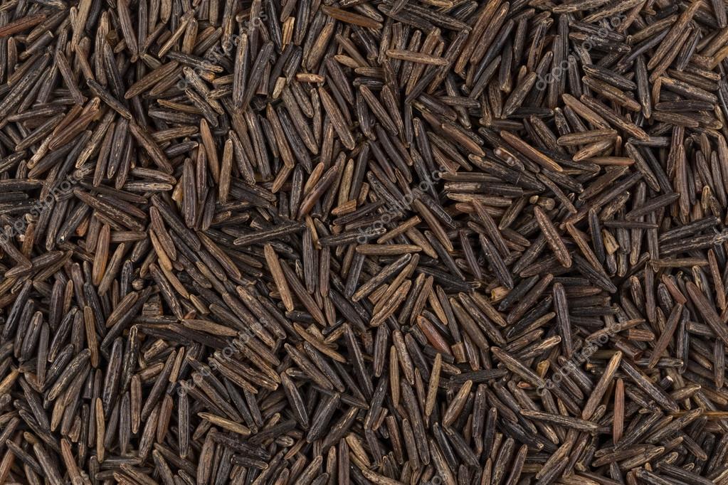 achtergrond van zwarte wilde rijst — stockfoto © romantsubin #106848458