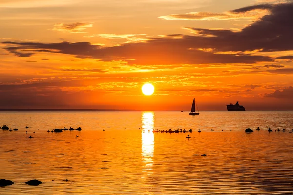 Sailing ship yachts  in the sea near coastline of Tallinn — Stock Photo, Image