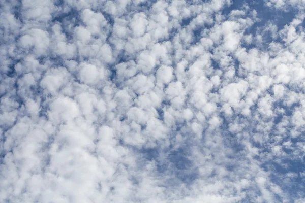 Nubes esponjosas, día soleado , — Foto de Stock