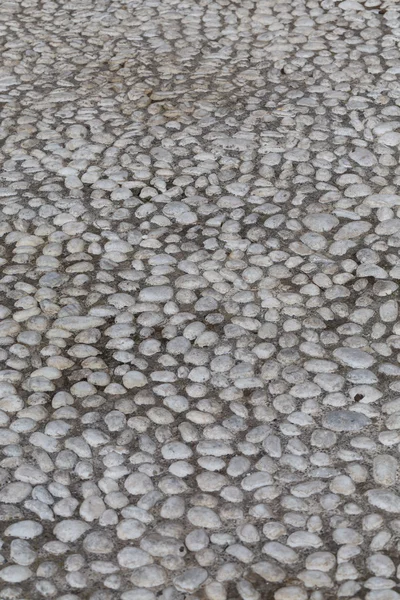 Round stones in the ground — Stock Photo, Image