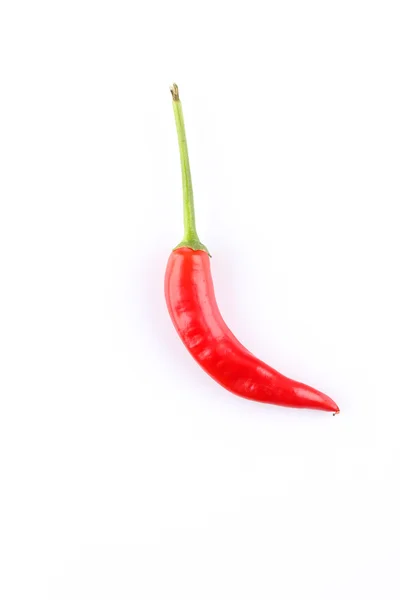 Pimenta de pimentão em branco — Fotografia de Stock