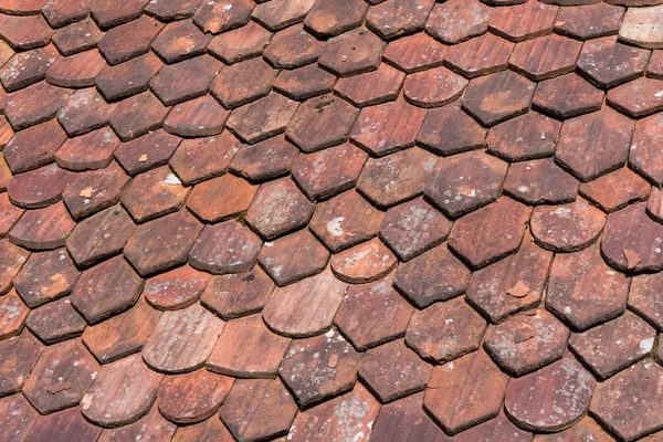 Old roof shingles background — Stock Photo, Image