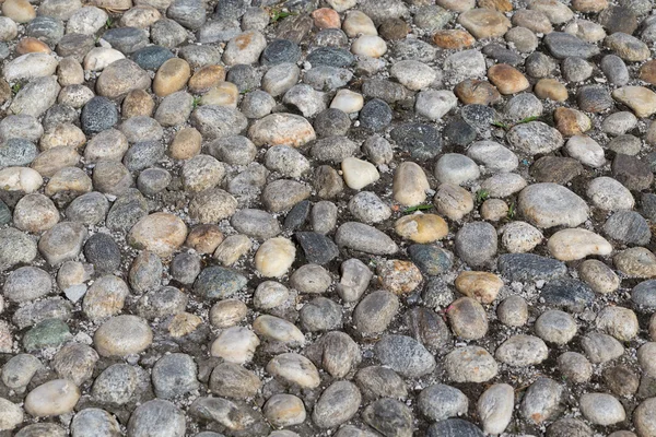Pedras redondas no chão — Fotografia de Stock