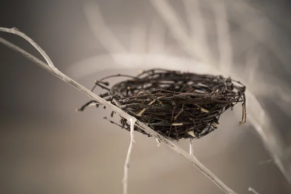 木の上の鳥の巣 — ストック写真