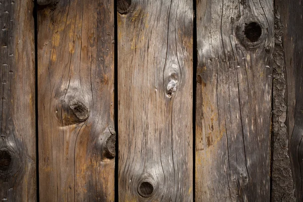 Holzwand aus Baumstämmen — Stockfoto