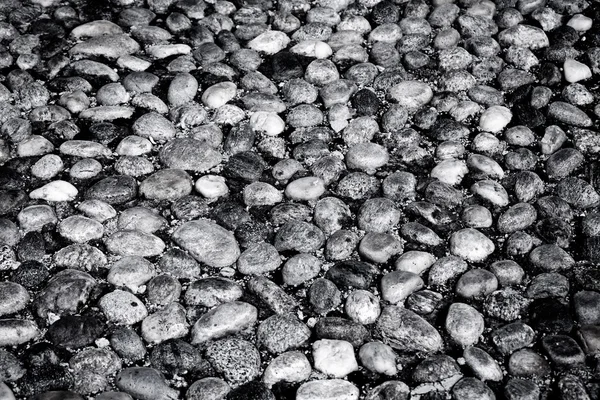 Круглые камни в земле — стоковое фото
