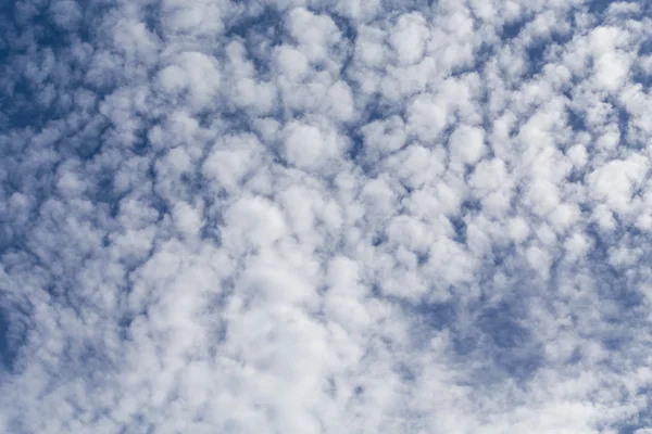 Nubes esponjosas, día soleado , — Foto de Stock