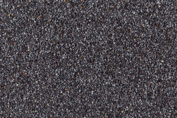 Poppy seeds background — Stock Photo, Image