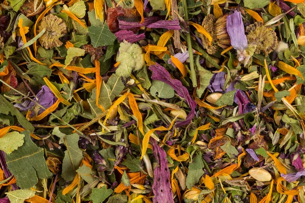 Dried herbal tea leaves — Stock Photo, Image