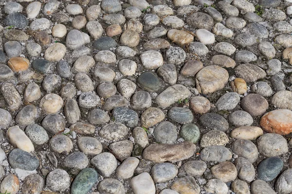 Okrągłe kamienie w ziemi — Zdjęcie stockowe
