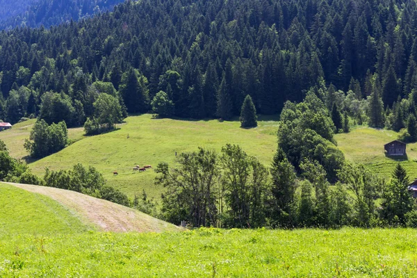 View on the Alps, Switzerland — Stock Photo, Image