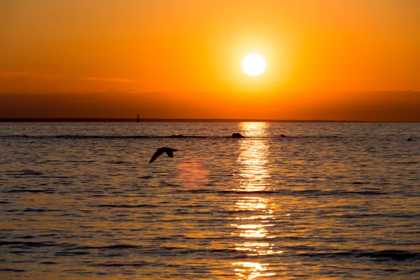 Heldere lucht en water bij zonsondergang — Stockfoto